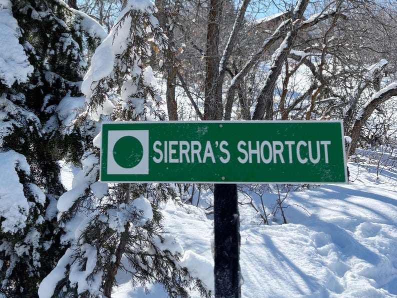 Custom Ski Trail Sign, Personalized Ski Sign, Ski Patrol Sign, Apres Ski, Ski Decor, Ski Trail Signs, Ski Run Sign, Custom Metal Sign, Ski 画像 3