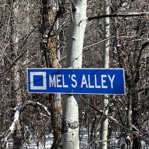 Custom Ski Trail Sign, Personalized Ski Sign, Ski Patrol Sign, Apres Ski, Ski Decor, Ski Trail Signs, Ski Run Sign, Custom Metal Sign, Ski 画像 4