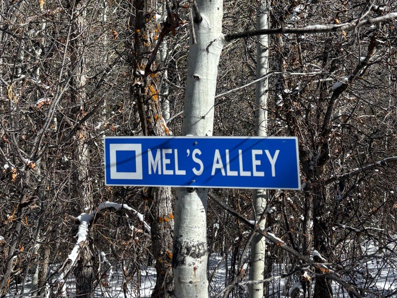Custom Ski Trail Sign, Personalized Ski Sign, Ski Patrol Sign, Apres Ski, Ski Decor, Ski Trail Signs, Ski Run Sign, Custom Metal Sign, Ski 画像 4
