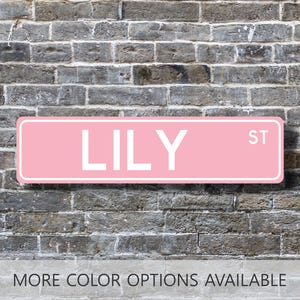 Lily, Lily Sign, Lily Gift, Custom Street Sign, Gift for Her, Dorm Room Decor, Girls Wall Art, Bedroom Decor, Metal Sign, Girl Gift