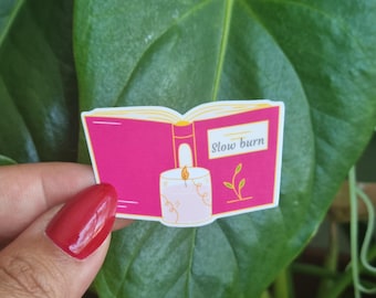 Vinyl Slow burn sticker book trope E-reader kindle laptop sticker slow burn book lovers hot pink and pink sticker