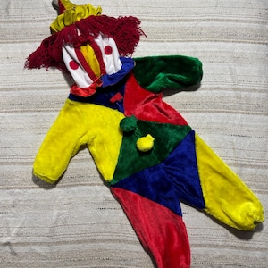 Puede incluir: Un colorido disfraz de payaso con sombrero a juego. El atuendo está hecho de tela de felpa en amarillo, rojo, verde y azul. El sombrero presenta flecos rojos y una cara blanca con círculos rojos.
