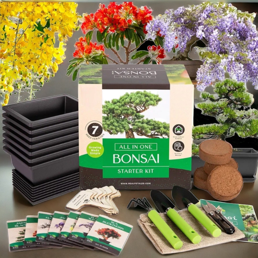 pesticide for indoor plants Pest Control – Seafoam Lavender main image 1