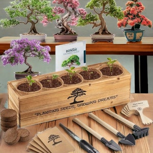 Complete Bonsai Tree Kit for Beginners and Enthusiasts | Grow 5 Unique  Japanese Bonsai Trees | Indoor Gardening Gift With Tools & Planters - Etsy