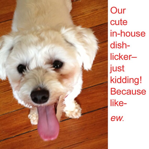 Funny Dog Dishwasher Clean Dirty A Fun for Dog Etsy