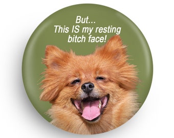 Funny Dog Fridge Magnet for Dog Lovers, Fun Stocking Stuffer Gift for Coworker