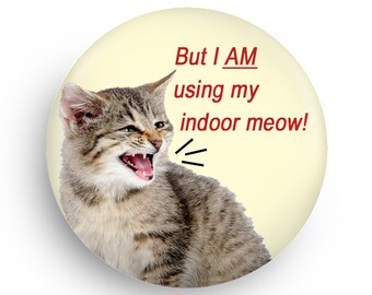 Funny Gift  Cat Fridge Magnet, Gift for New Kitty Owner1