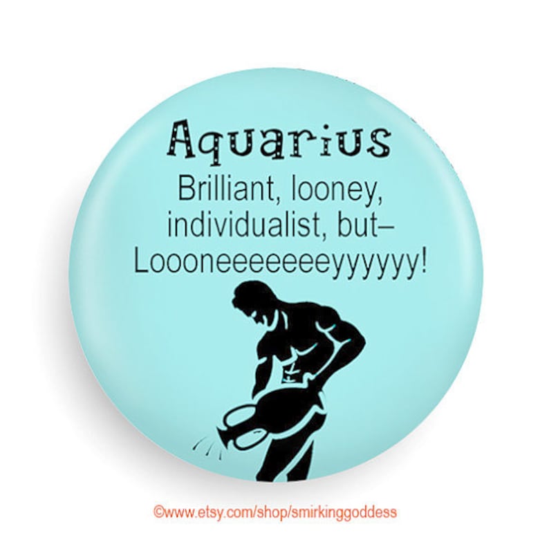 3/" x 2/" Zodiac fridge magnet star signs 12 fun designs horoscopes