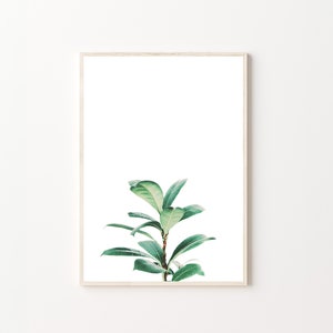Plant Print, Botanical Print, Botanical Wall Art, Botanical, Wall Art Prints, Print Wall Art, Wall Art, Home Decor, Wall Decor, Poster Print