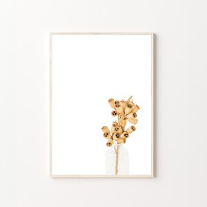 Seed Pods, A Bunch of Seedpods, Dried Seedpods, Botanical Print, Botanical Art, Floral Art Print, Digital Print, Digital Prints, Wall Art