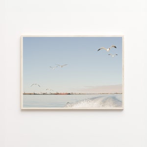 Birds Flying Over the Sea, Flying Birds Print, Bosphorus View, Istanbul Seascape, Seascape Art Print, Blue Wall Art, Digital Prints