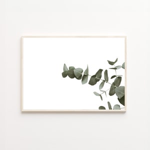 A Bunch of Eucalyptus Leaves, Eucalyptus Leaves, Eucalyptus Leaves Print, A Botanical Print, Botanical Art, Floral Art Print, Digital Print