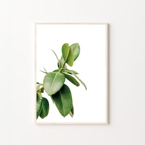 Botanical Print, Botanical Wall Art, Botanical, Wall Art Prints, Plant Print, Print Wall Art, Wall Art, Home Decor, Wall Decor, Poster Print