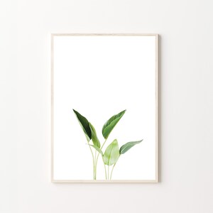 Botanical Prints, Green Leaves, Plant Print, Leaves Print, Botanical Wall Art, Wall Art, Wall Decor, Print Wall Art, Digital Prints