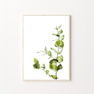 Green Leaves, Botanical Print, Plant Print, Leaves Print, Botanical Wall Art, Print Wall Art, Wall Art, Home Decor, Wall Decor, Poster Print