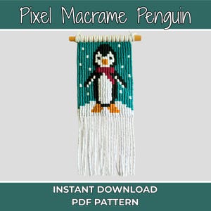 Könnte beinhalten: Makramee-Wandbehang mit einem pixeligen Pinguin-Design. Der Pinguin ist schwarz, weiß und orange, trägt einen roten Schal, vor einem türkisfarbenen Hintergrund mit weißen Schneepunkten. Der Text "Pixel Macrame Penguin" steht oben.
