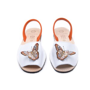 Maria Teresa Avarcas Butterflies Collection