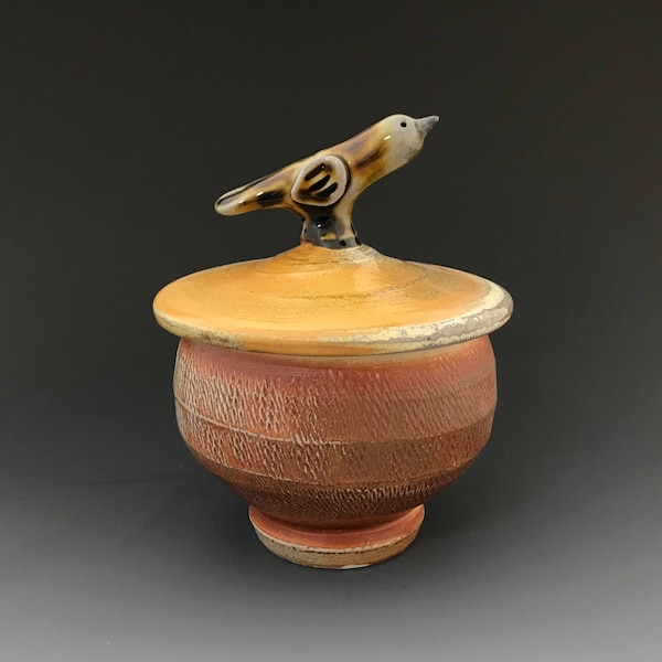 Bird Jar - Lidded Jar - Soda Glazed Stoneware - Cord Impressed Decoration - Ron Philbeck