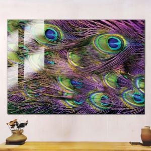Vibrant Peacock Feather Tempered Glass Wall Art, Exotic Colorful Bird Print, High-Gloss Nature Decor, Luxury Modern Home Artwork Wall Decor