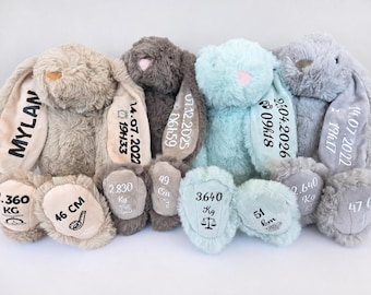 Peut inclure: Quatre lapins en peluche de couleur beige, marron foncé, bleu clair et gris. Chaque lapin présente des détails de naissance brodés sur les oreilles et les pieds, incluant noms, dates, heures, poids en kg et tailles en cm avec des icônes.