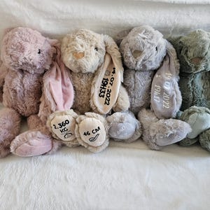 Personalized bunny plush