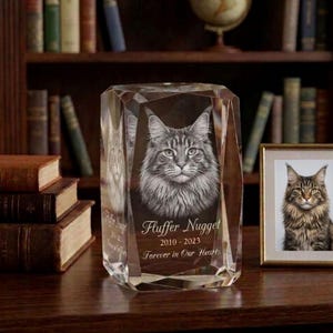 May include: A clear, faceted crystal memorial featuring a detailed portrait of a cat named Fluffer Nugget. The text reads "Fluffer Nugget 2010-2023 Forever in Our Hearts." A framed photo of the cat sits nearby, with a bookshelf background.