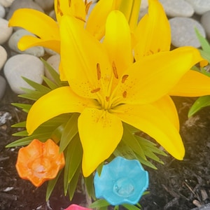 May include: A vibrant image of a bright yellow lily in full bloom, surrounded by green leaves. Below the lily are three small, colorful, flower-shaped decorations in orange, blue, and pink.