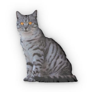 Personalisiertes Katzenkissen, Benutzerdefiniertes Katzenkissen, Katzen Einzigartiges Kissen, Katzenförmiges Kissen, Albernes Katzenkissen, Katzenfotokissen, Geschenke für Katzenliebhaber