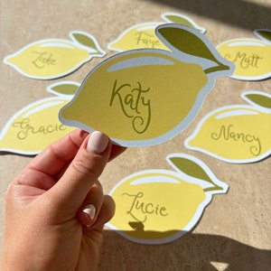 May include: Yellow lemon-shaped place cards with names written on them, including "Katy", "Faye", "Matt", "Nancy", "Lucie", "Luke", and "Gracie".