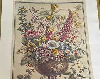Large Vintage December Flowers Art Print, Botanical Illustrations-,12 Months of Flowers Furber, Williamsburg, Wedding Anniversary 15.5 x 21"