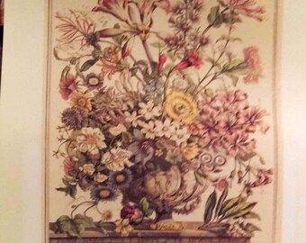 Large Vintage October Flowers Art Print, Botanical Illustrations 1700s, 12 Months of Flowers, Colonial Williamsburg, Wedding Gift, 16 x 20"