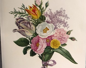 Vintage BOUQUET OF FLOWERS Art Print, Tulips Lilacs Peonies, Pink Yellow Purple Green, John Henry Hopkins, 1800s Botanical Study, 10 x 14