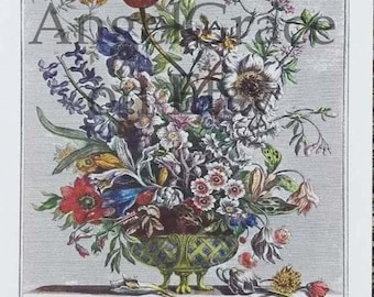 Small 1940s Furber FEBRUARY FLOWERS Print, 12 Twelve Months of Flowers, 1700s Colonial Williamsburg Botanical Wall Art, Wedding Gift, 7x10