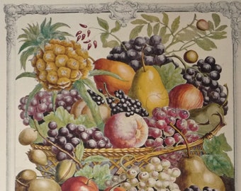 Vintage October Fruit Art Print, 12 Months of Fruit, 1700s Botanical Illustration, Furber Casteels, Kitchen Dining Room Decor 15.5 x 20.75"
