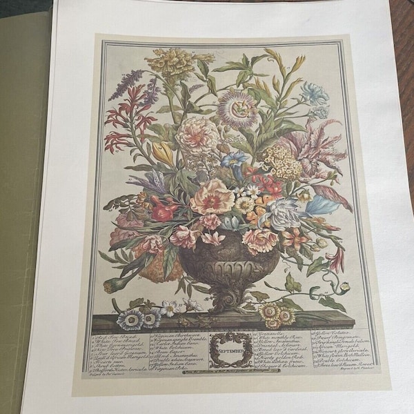 Large Vintage September Flowers Art Print- 1700s Botanical Illustration- 12 Months of Flowers Furber- Williamsburg- Wedding Gift- 15.5 x 21"