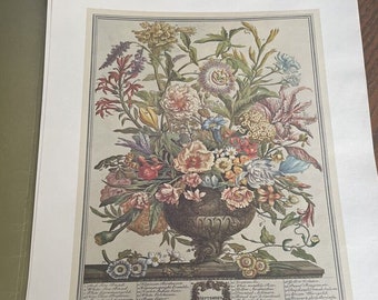Large Vintage September Flowers Art Print- 1700s Botanical Illustration- 12 Months of Flowers Furber- Williamsburg- Wedding Gift- 15.5 x 21"