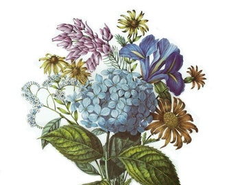 Vintage Lithograph BOUQUET 3 with Blue Hydrangea by Oudart, 1800s French Botanical Study, 19th c Purple Iris Floral  Illustration 12 x 16"