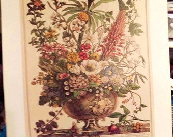 Large Vintage December Flowers Art Print- 1700s Botanical Study - 12 Months of Flowers- Williamsburg - Wedding Anniversary Gift - 16 x 20"