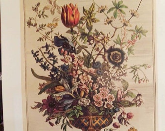 Large Vintage February Flowers Art Print- 12 Months of Flowers- Botanical Study- 1700s Seed Catalog - Fletcher - Wedding Gift- 16 x 20"