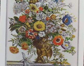 Small 1940s NOVEMBER FLOWERS Print, Furber 12 Twelve Months of Flowers, Colonial Williamsburg 1700s Botanical Wall Art, Wedding Gift, 7x10