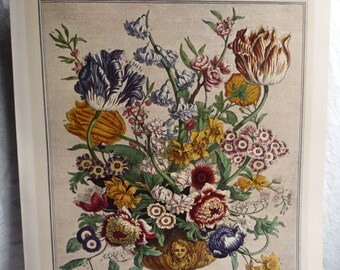 Vintage April Flowers Art Print, 1700s Botanical Painting, 12 Months of Flowers, Furber, Williamsburg, Birth Month Wedding Gift 10.5 x 14"