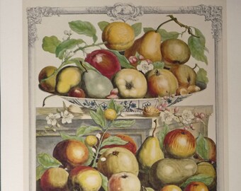 Large Vintage MARCH FRUIT Art Print, Furber 12 Months of Fruit, 1700s Baroque Fruit, Kitchen Wall Hanging, Dining Room Decor  15.5 x 20.75"