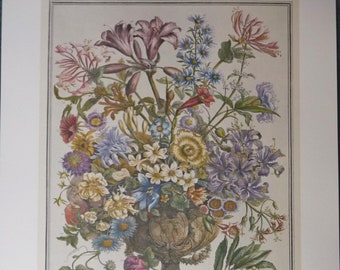 OCTOBER FLOWERS Large Vintage Art Print, 12 Months of Flowers Furber, 1700s Botanical Illustration, Williamsburg, Wedding Gift, 20.75x15.5"