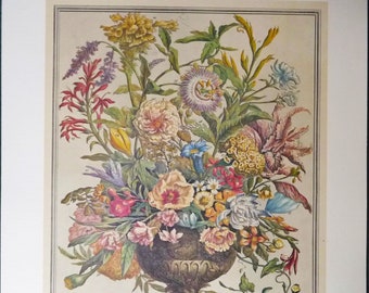 SEPTEMBER FLOWERS Large Vintage Print, 12 Months of Flowers Furber, 1700s Botanical Art, Birth Month Flowers, Wedding Gift Idea  20.75x15.5"