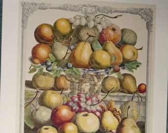 Vintage DECEMBER FRUIT Art Print, 12 Months of Fruit, 1700s Still Life, Furber, Casteels, Fletcher, Colorful Gallery Wall Idea 15.5 x 20.75"