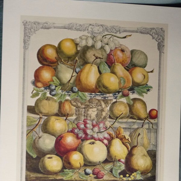 Vintage DECEMBER FRUIT Art Print, 12 Months of Fruit, 1700s Still Life, Furber, Casteels, Fletcher, Colorful Gallery Wall Idea 15.5 x 20.75"