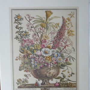 DECEMBER FLOWERS Large Vintage Art Print, Botanical Illustration, 12 Months of Flowers Furber, Williamsburg, Wedding Anniversary 20.75x15.5 image 1