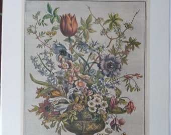 FEBRUARY FLOWERS Large Vintage Art Print, 12 Months of Flowers, 1700s Botanical Illustration, Colonial Williamsburg, Wedding Gift 20.75x15.5