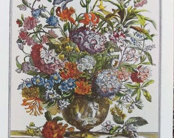 Small 1940s JULY FLOWERS Print, Furber's 12 Months of Flowers, 1700s Colonial Williamsburg Botanical Art, Wedding Gift for Couple, 7 x 10