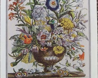 Small 1940s SEPTEMBER FLOWERS Furber Print, 12 Months of Flowers, 1700s Colonial Williamsburg Art Botanical Illustration, Wedding Gift, 7x10